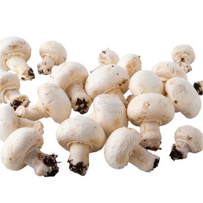 Шампиньоны свежие 500 г - купить в Чапамо